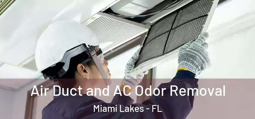 Air Duct and AC Odor Removal Miami Lakes - FL