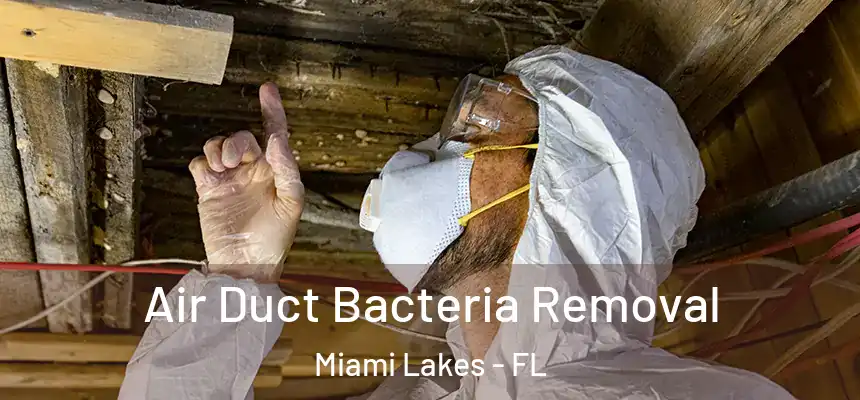 Air Duct Bacteria Removal Miami Lakes - FL