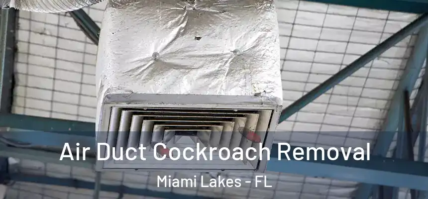 Air Duct Cockroach Removal Miami Lakes - FL