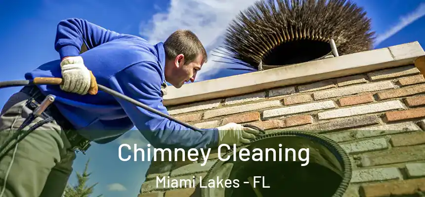 Chimney Cleaning Miami Lakes - FL