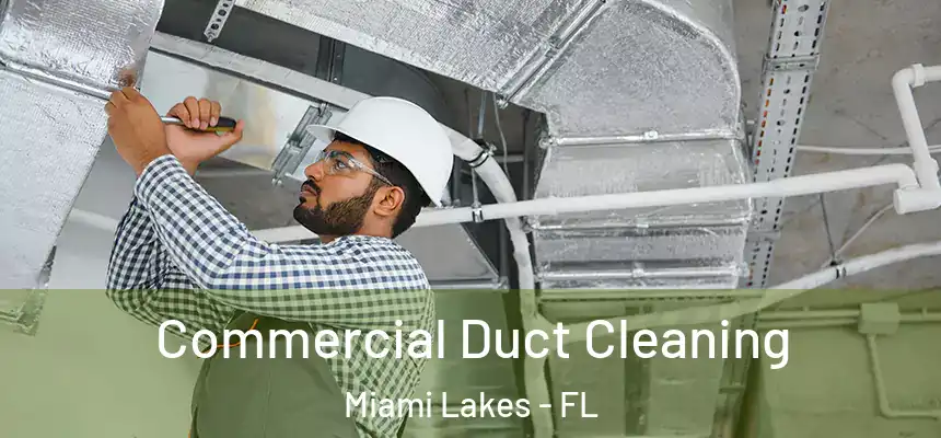 Commercial Duct Cleaning Miami Lakes - FL