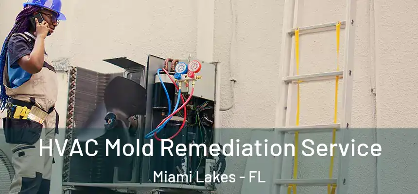 HVAC Mold Remediation Service Miami Lakes - FL