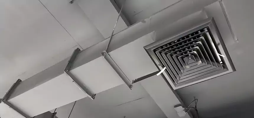 Our Rodent Droppings In Vents Services in Miami Lakes, FL