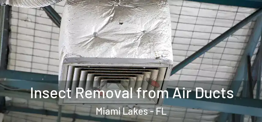 Insect Removal from Air Ducts Miami Lakes - FL