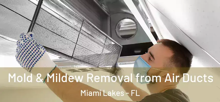  Mold & Mildew Removal from Air Ducts Miami Lakes - FL