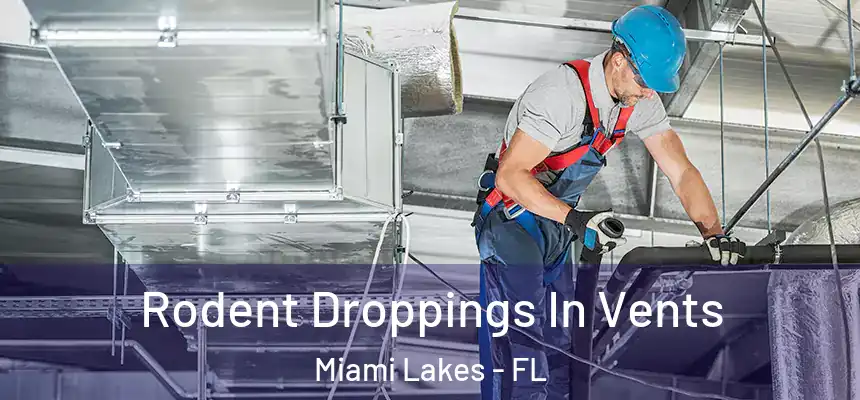  Rodent Droppings In Vents Miami Lakes - FL