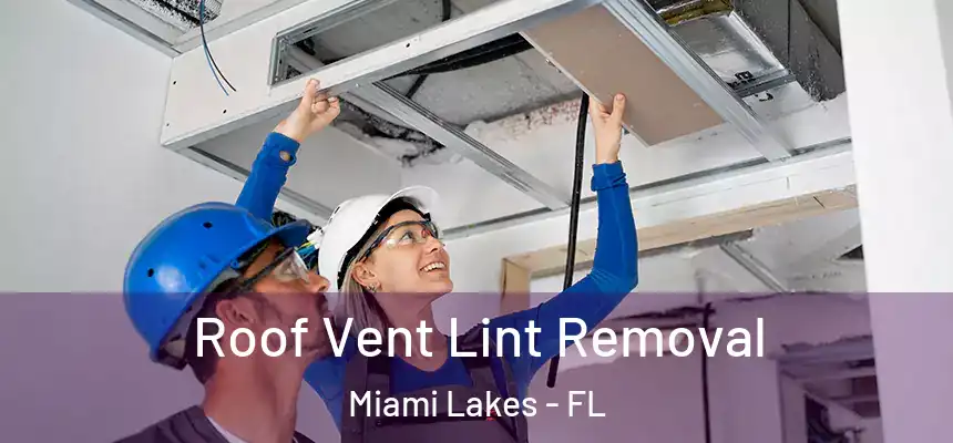 Roof Vent Lint Removal Miami Lakes - FL