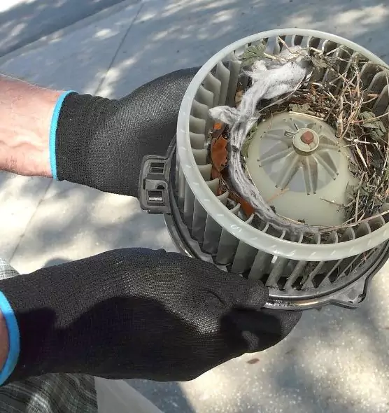 About Air Duct Rat Removal in Miami Lakes, FL