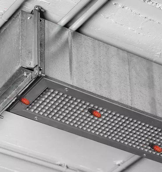 Affordable Insect Removal from Air Ducts in Miami Lakes, FL