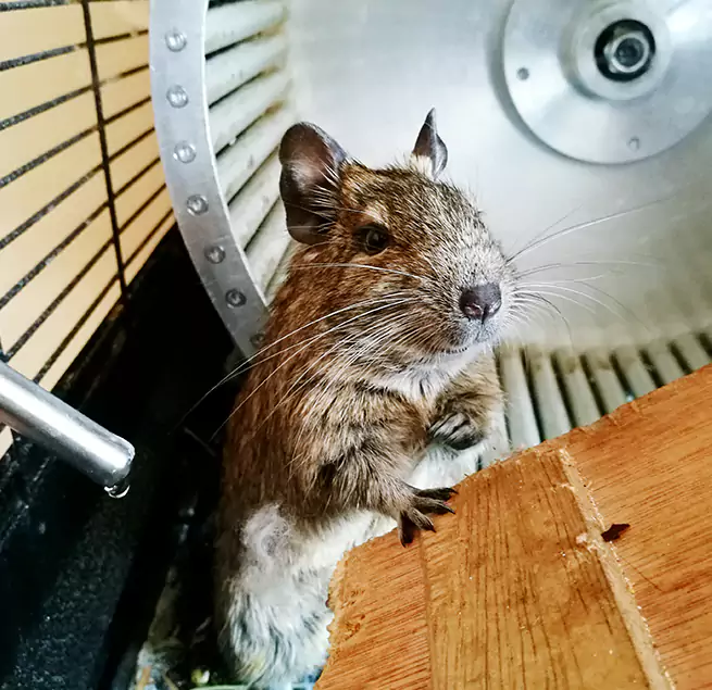 Why Homeowners & Businesses Trust Us Miami Lakes, FL