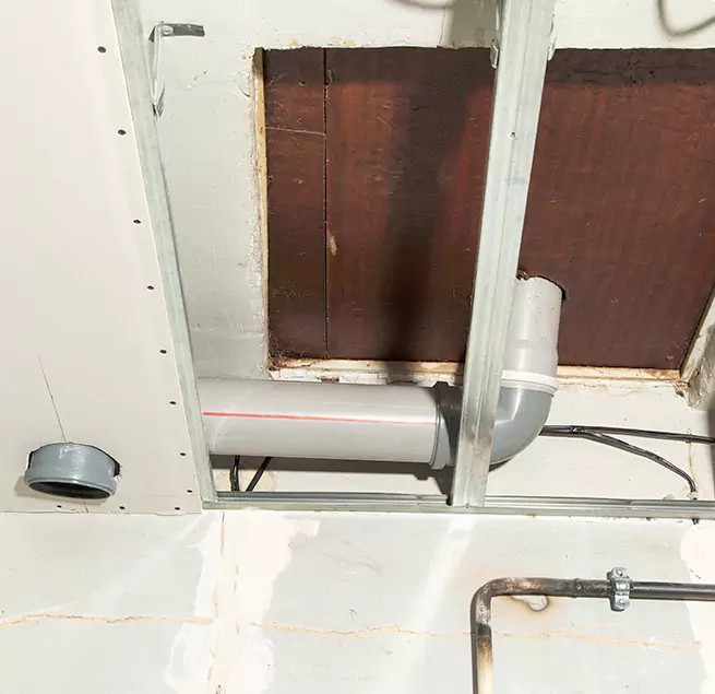 Why Homeowners & Businesses Trust Us in Miami Lakes, FL?