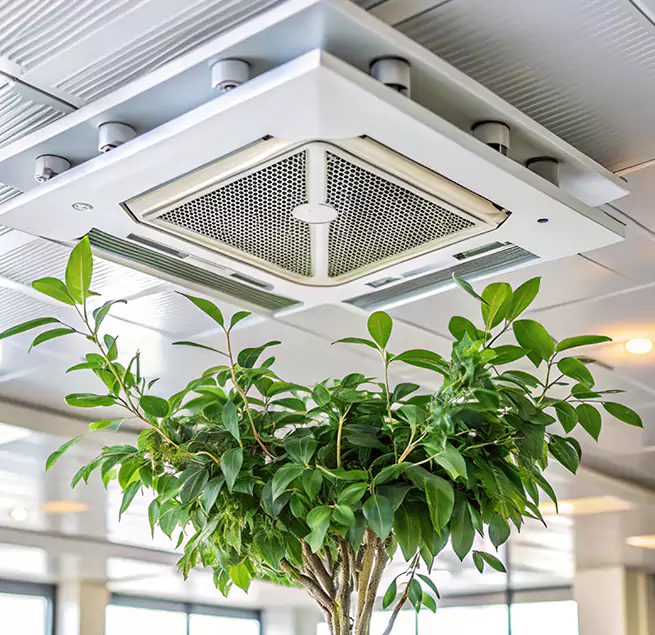 Why Homeowners & Businesses Trust Us in Miami Lakes, FL?