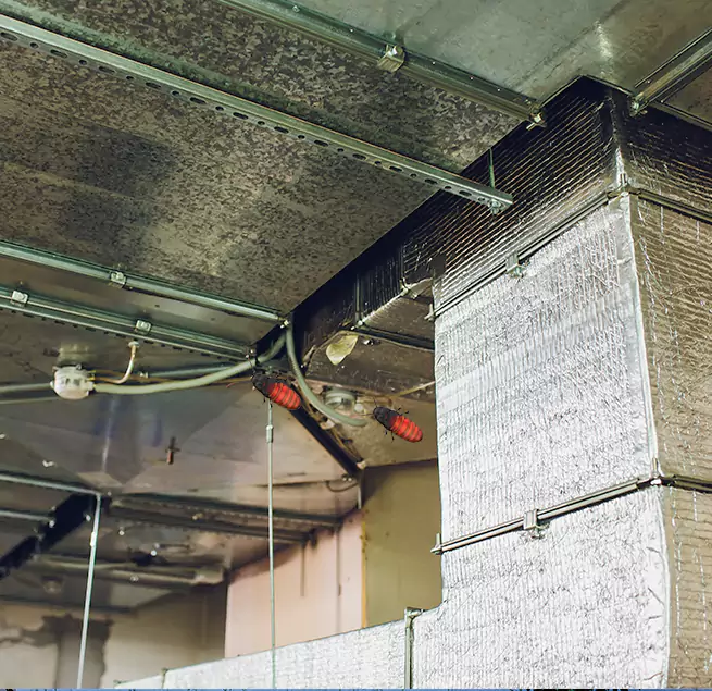 Why Homeowners & Businesses Trust Us Miami Lakes, FL?