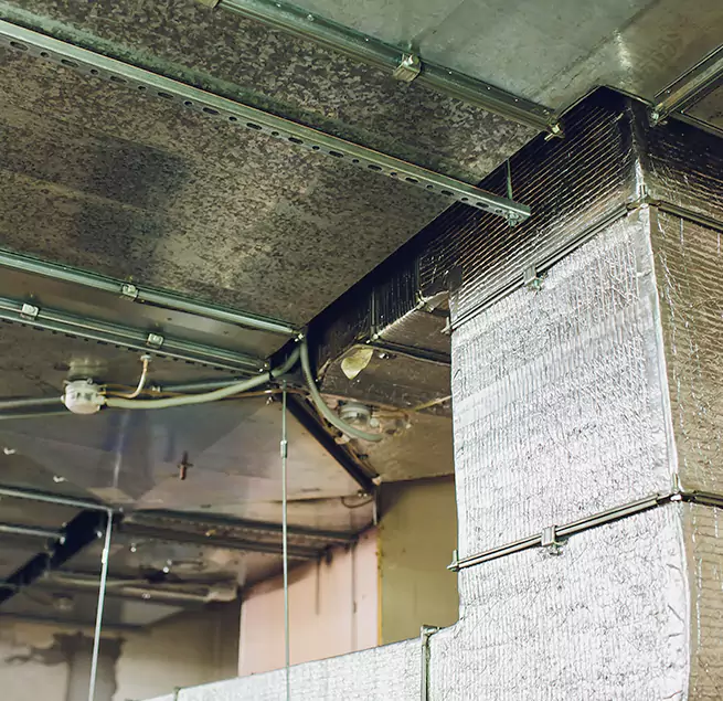 Why Homeowners & Businesses Trust Us in Miami Lakes, FL?