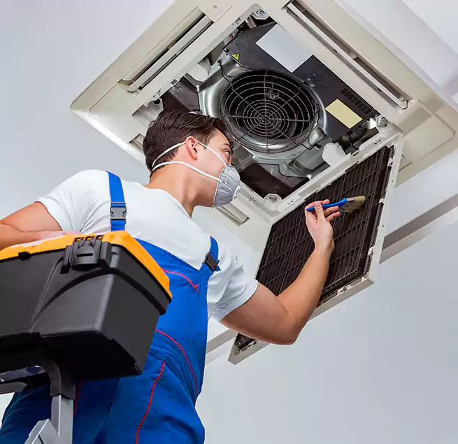 Why Homeowners & Businesses Trust Us in Miami Lakes, FL?